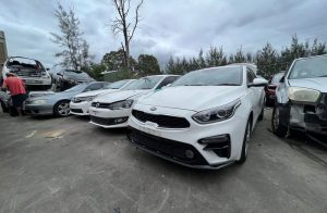 The Most Experienced Brookvale Wreckers Company
